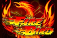 Fire Bird